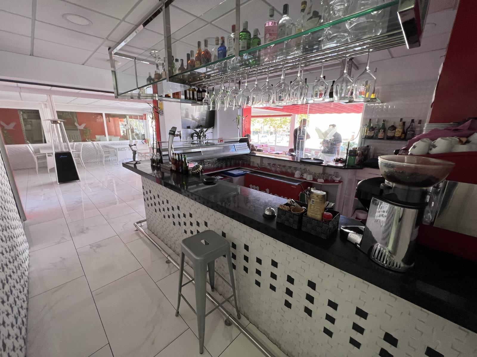 Premise for Sale in Torrevieja