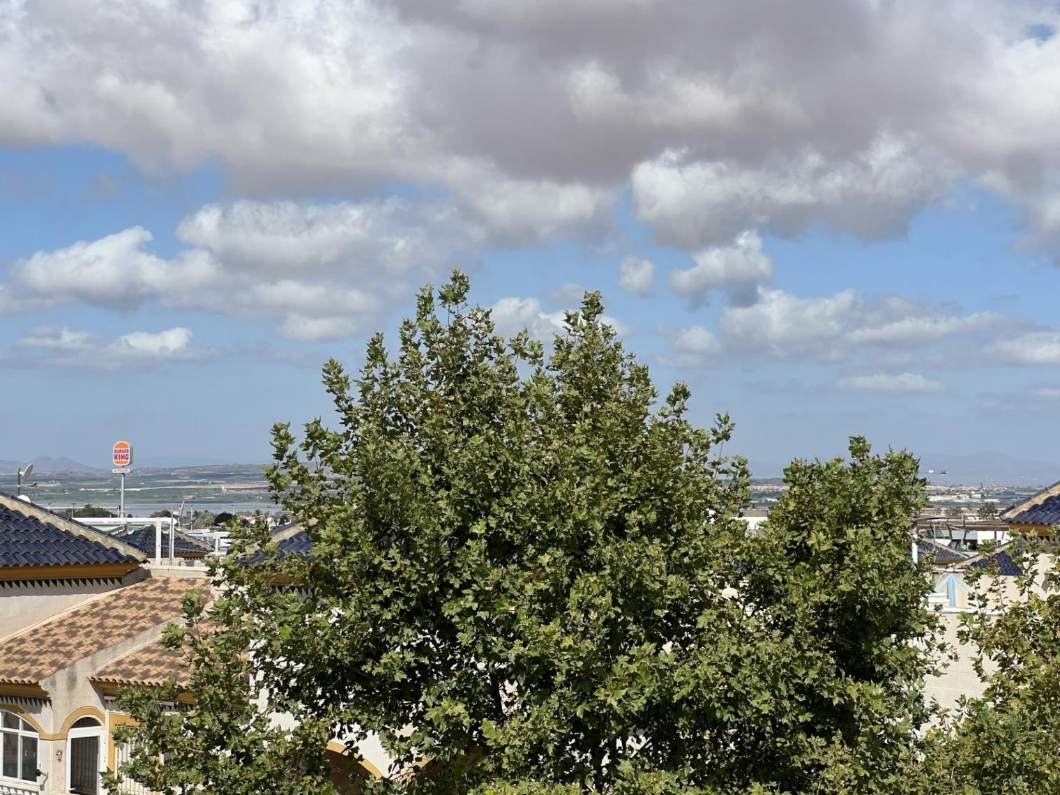 Premise for Sale in Torrevieja