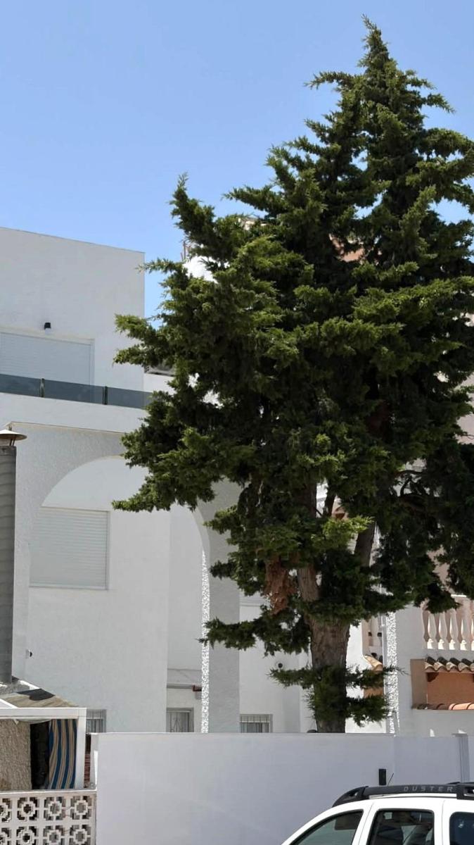 Casa en Venta en Torrevieja