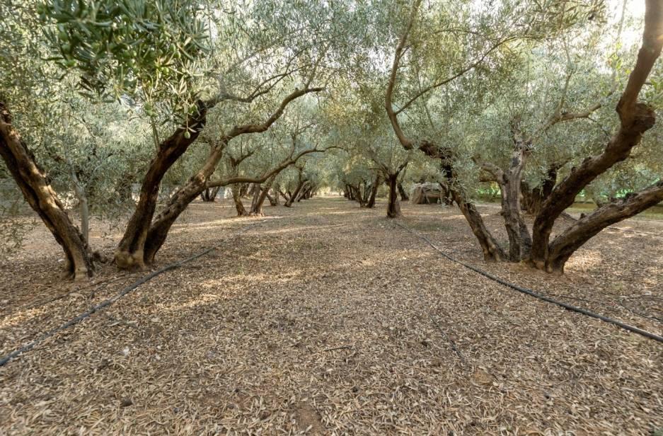 Villa en Venta en Atarfe