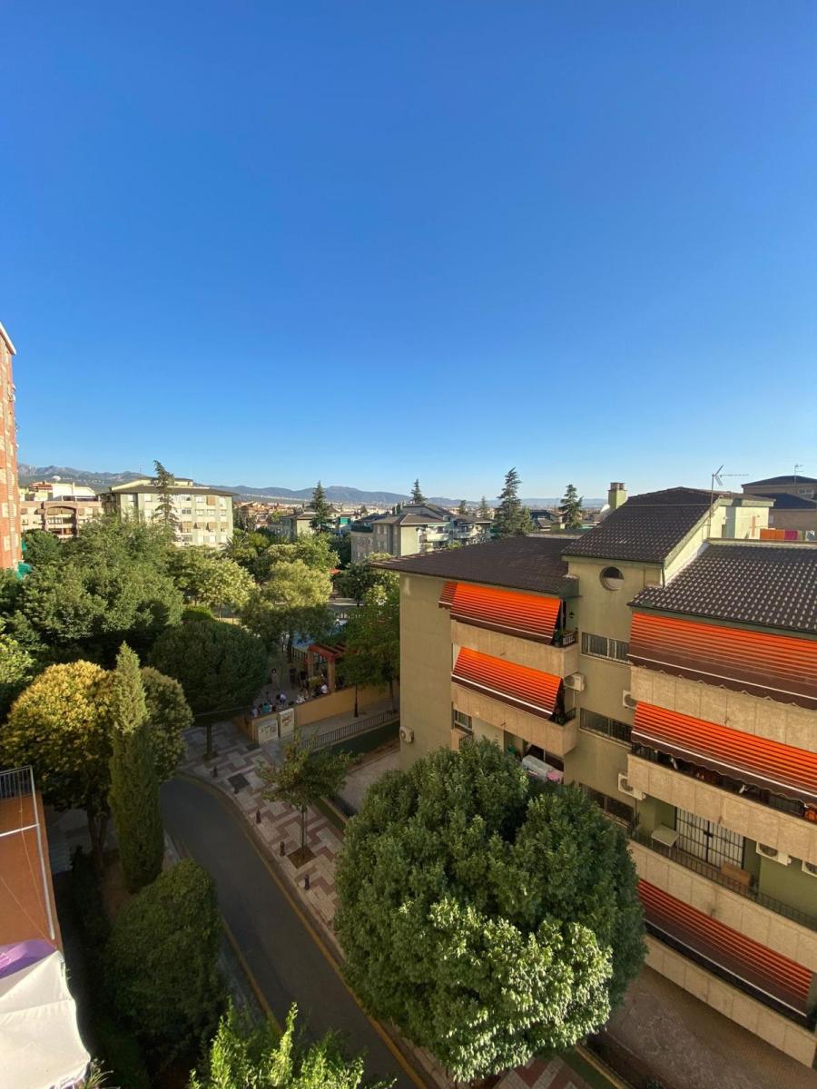 Flat for Rent in Granada