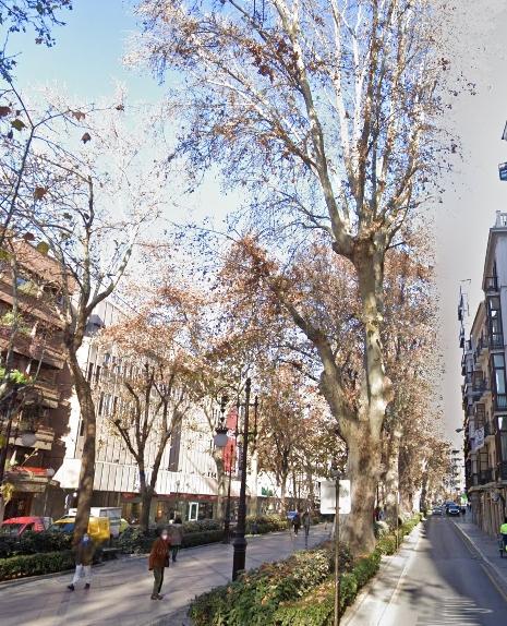 Flat for Rent in Granada