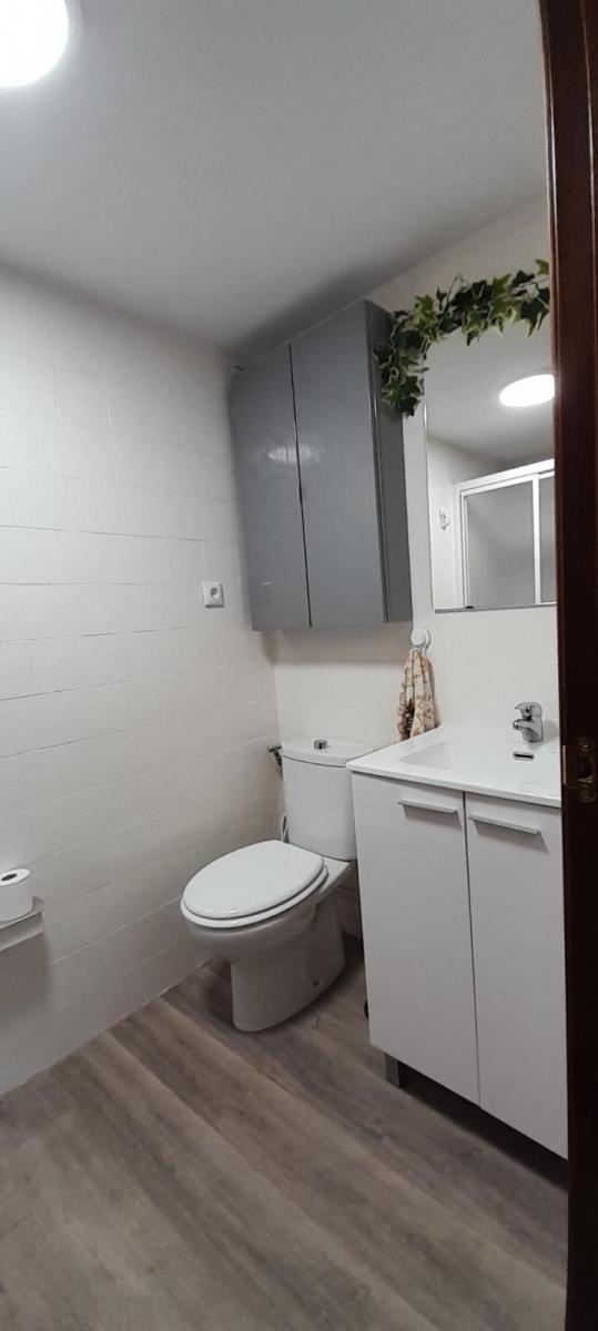 Flat for Rent in Granada
