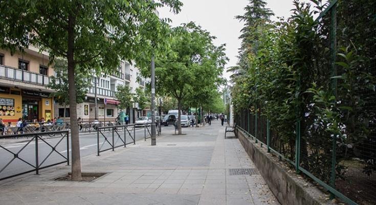 Flat for Rent in Granada
