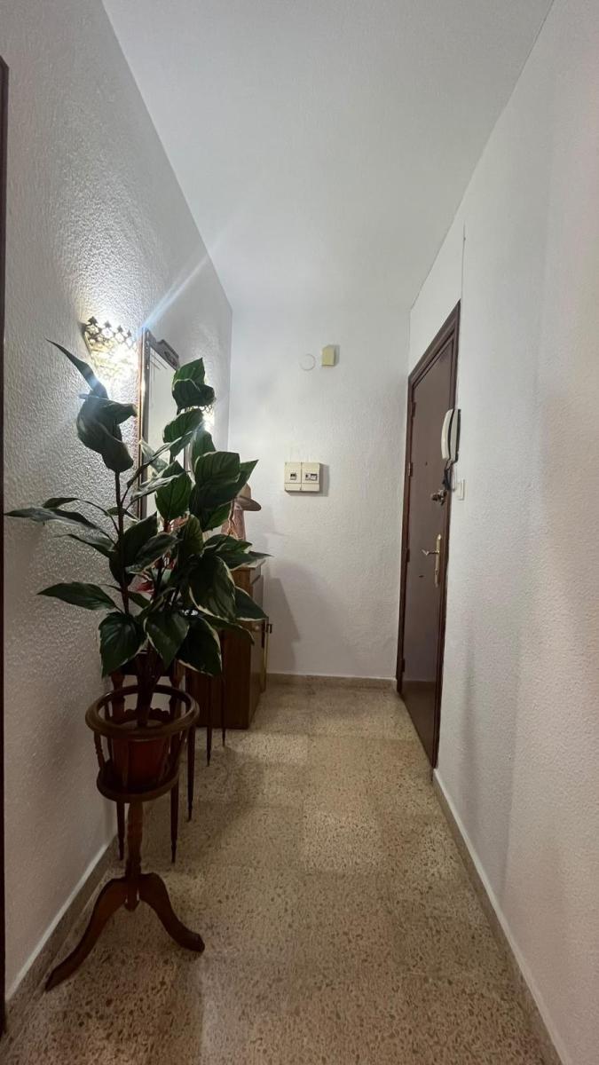 Flat for Rent in Granada