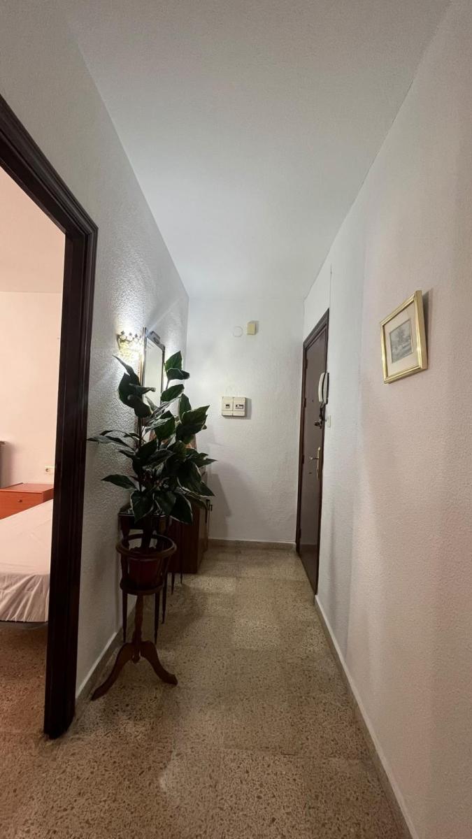 Flat for Rent in Granada