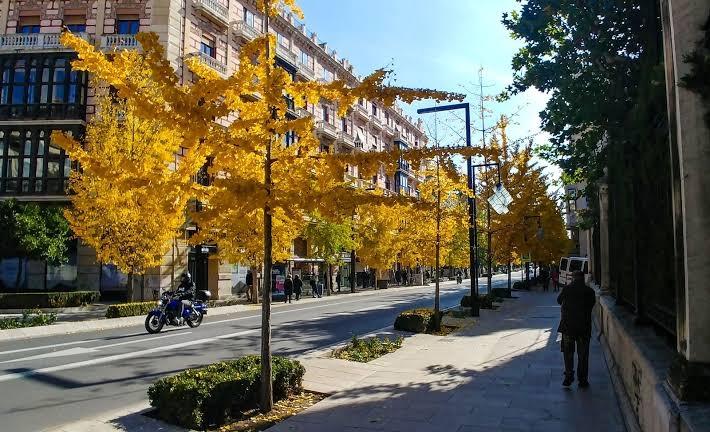 Flat for Rent in Granada