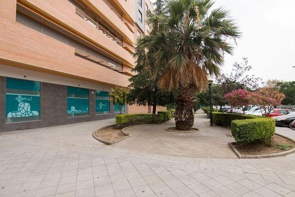Flat for Rent in Granada