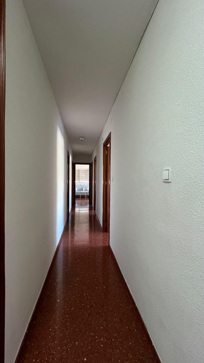 Flat for Rent in Granada