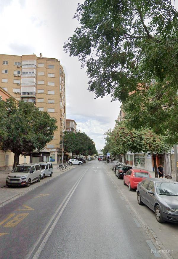 Flat for Rent in Granada