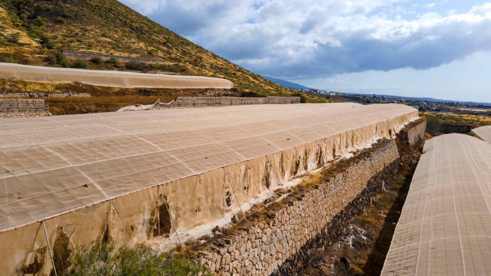 Parcela en Venta en Granadilla de Abona