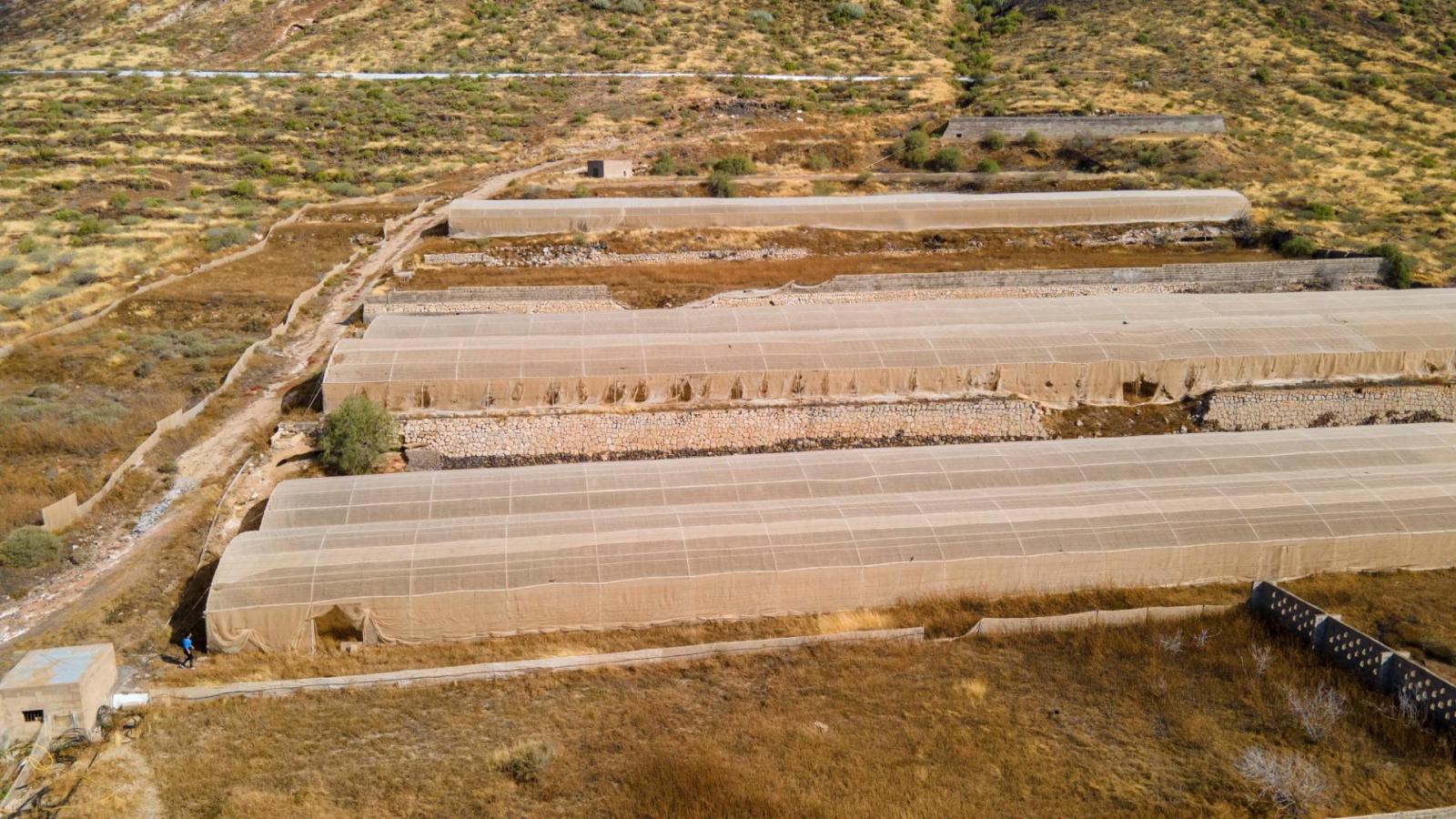 Parcela en Venta en Granadilla de Abona