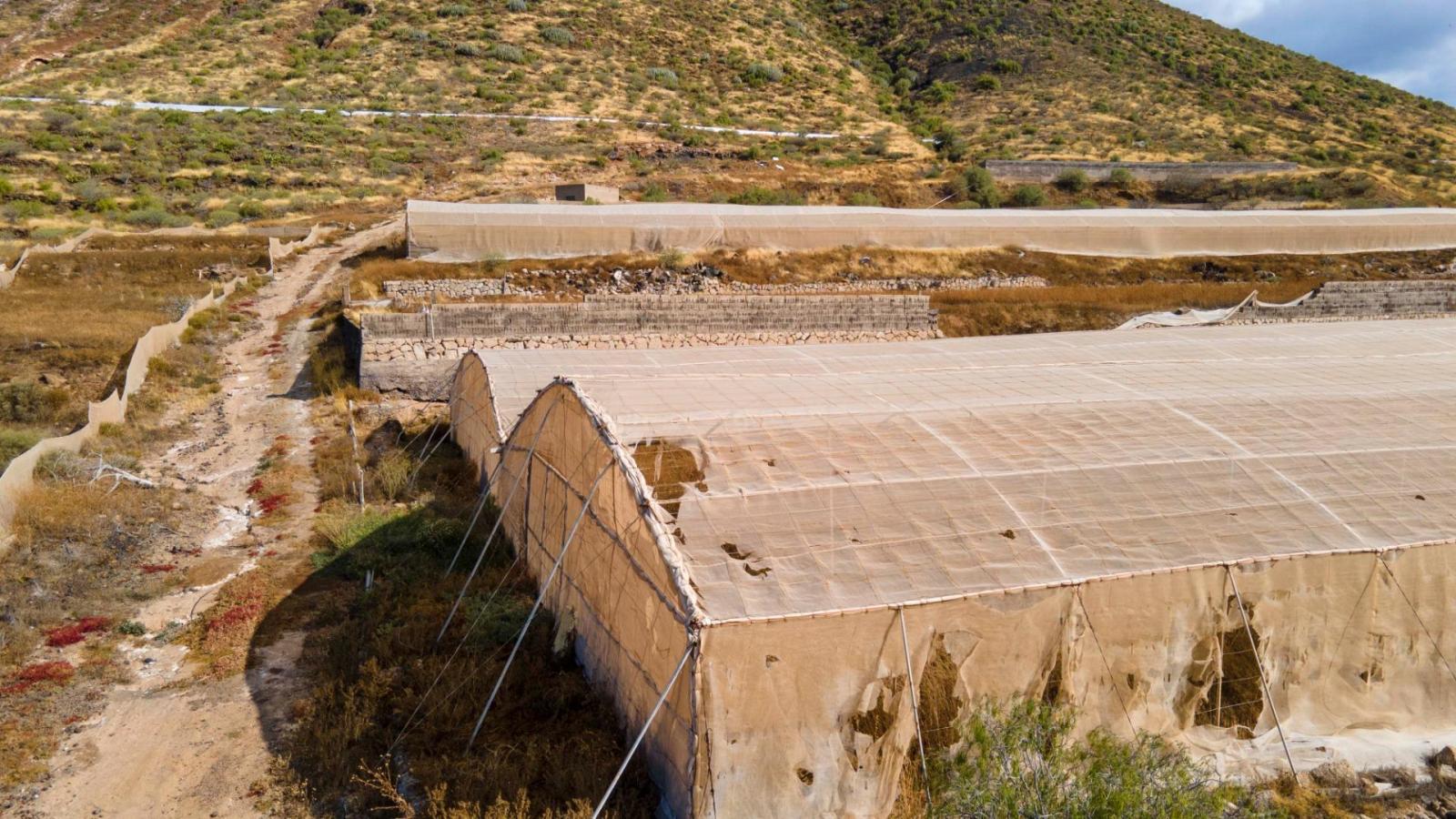 Parcela en Venta en Granadilla de Abona