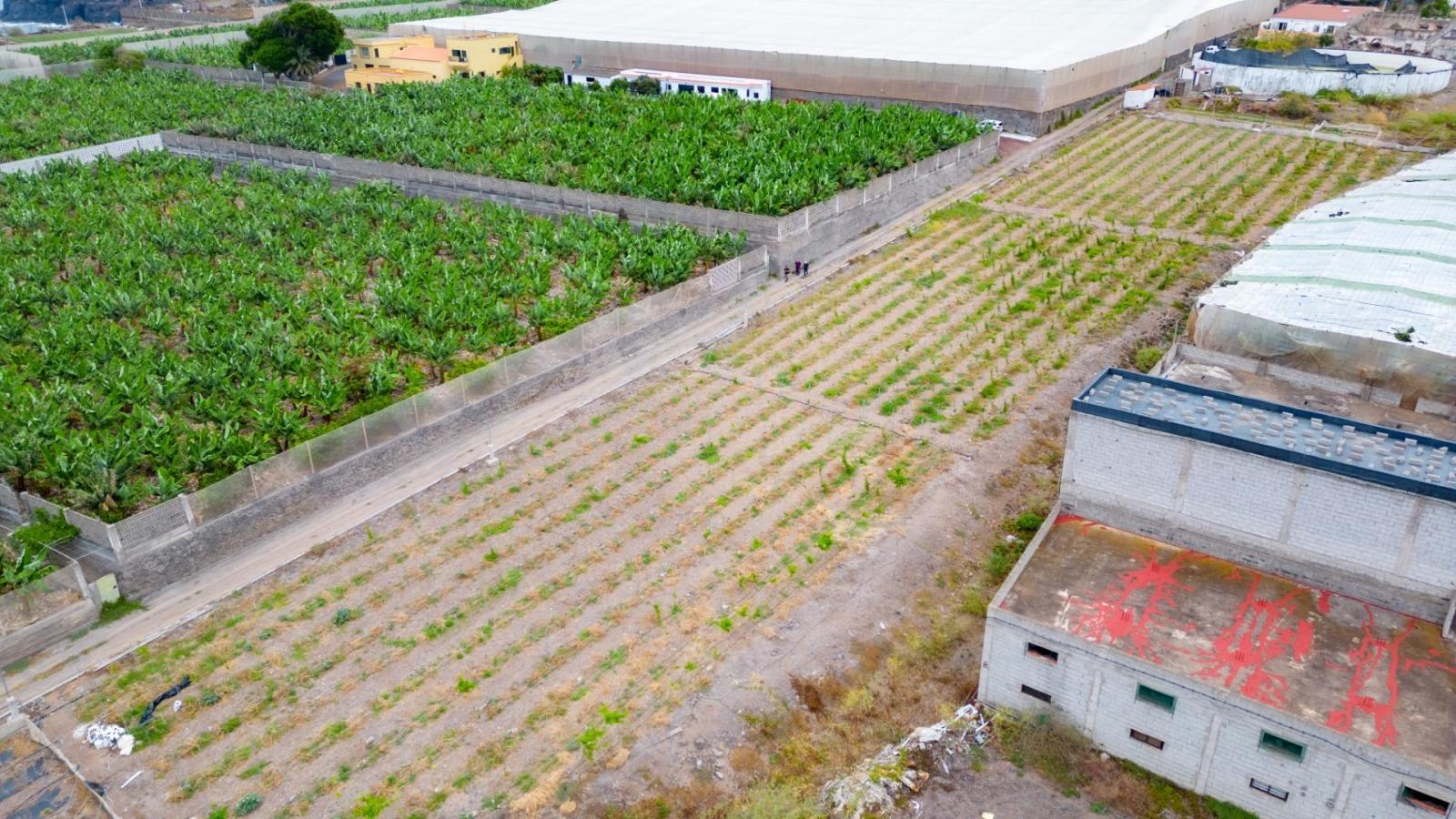 Parcela en Venta en San Cristóbal de La Laguna