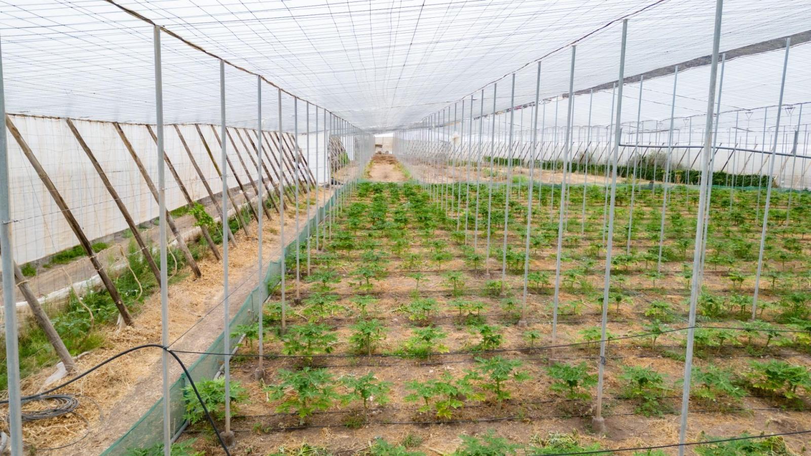 Parcela en Venta en San Cristóbal de La Laguna