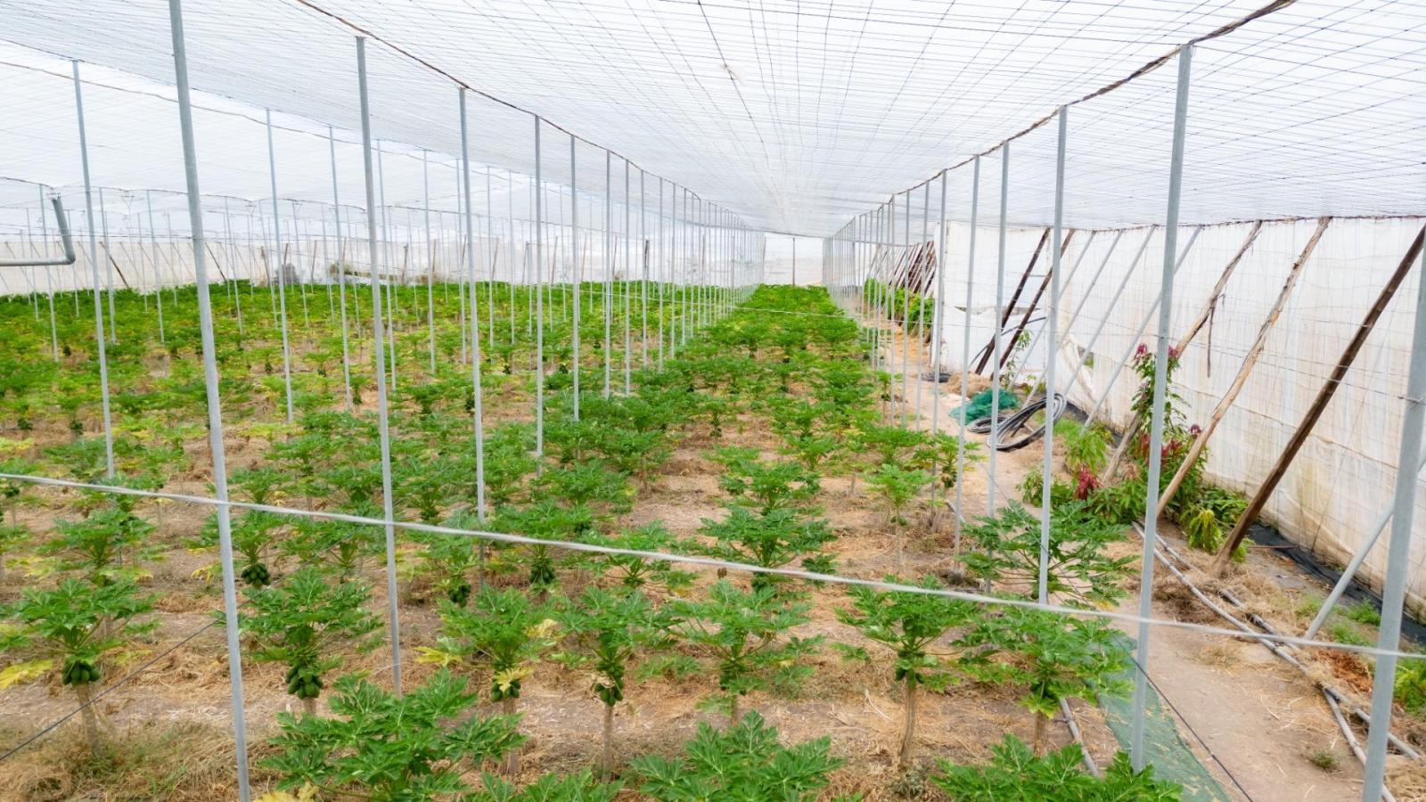 Parcela en Venta en San Cristóbal de La Laguna