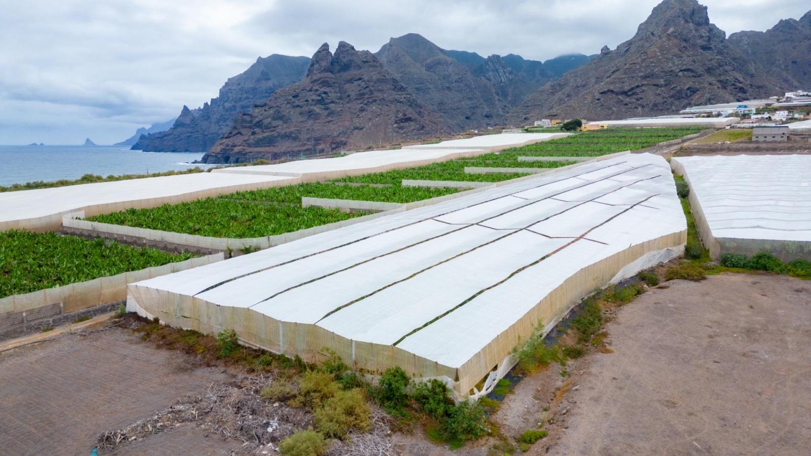 Parcela en Venta en San Cristóbal de La Laguna