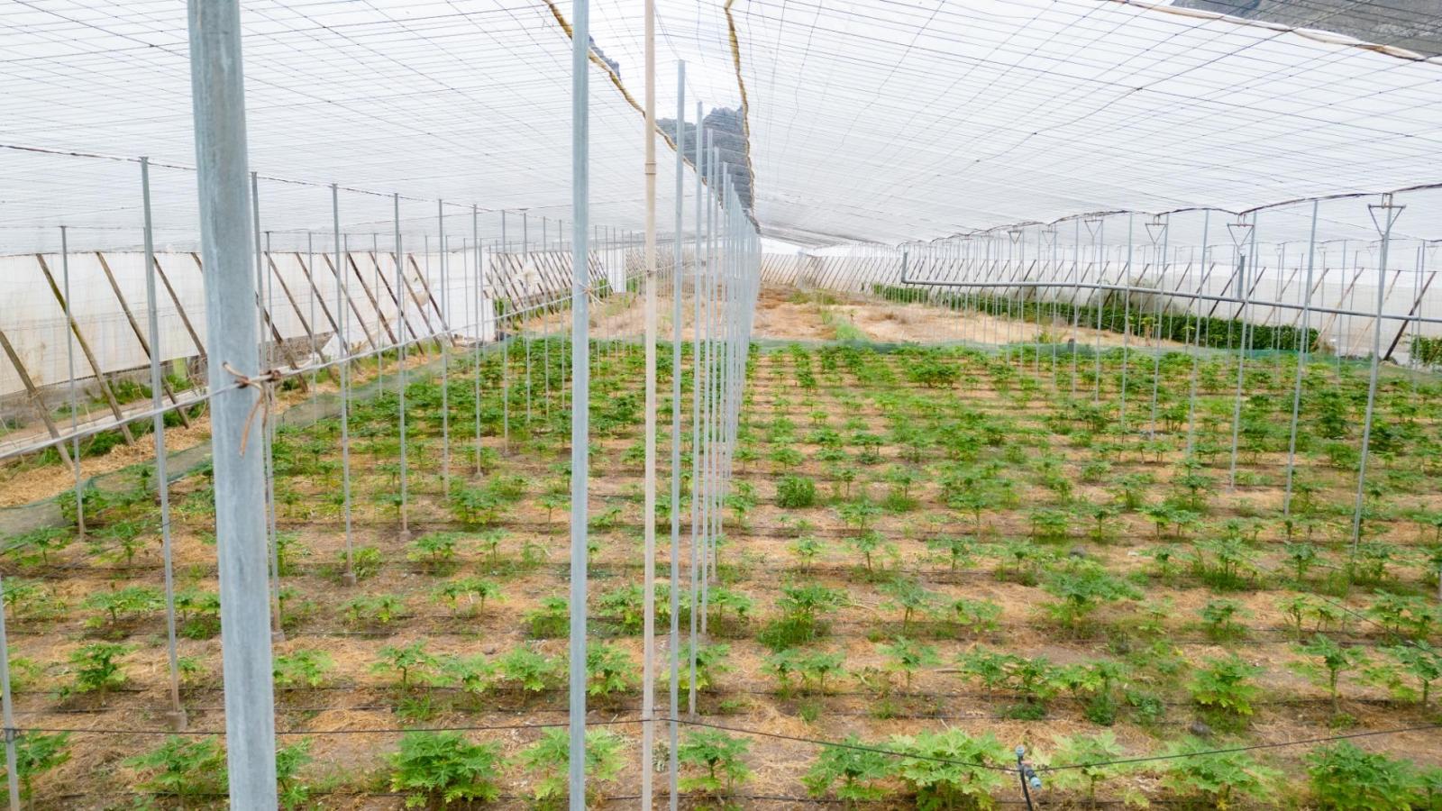 Parcela en Venta en San Cristóbal de La Laguna