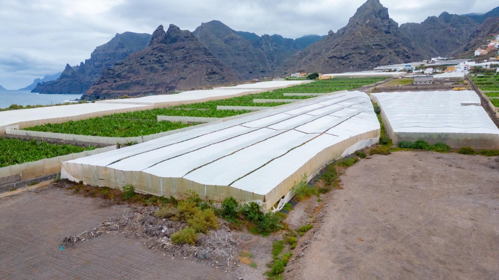 Parcela en Venta en San Cristóbal de La Laguna