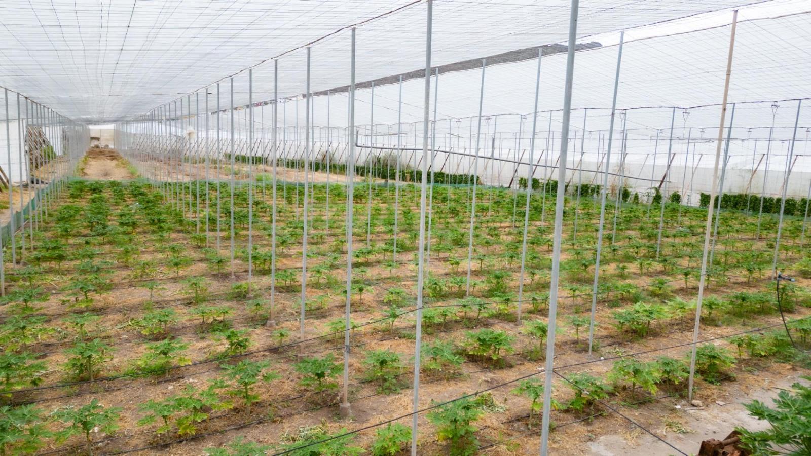 Parcela en Venta en San Cristóbal de La Laguna