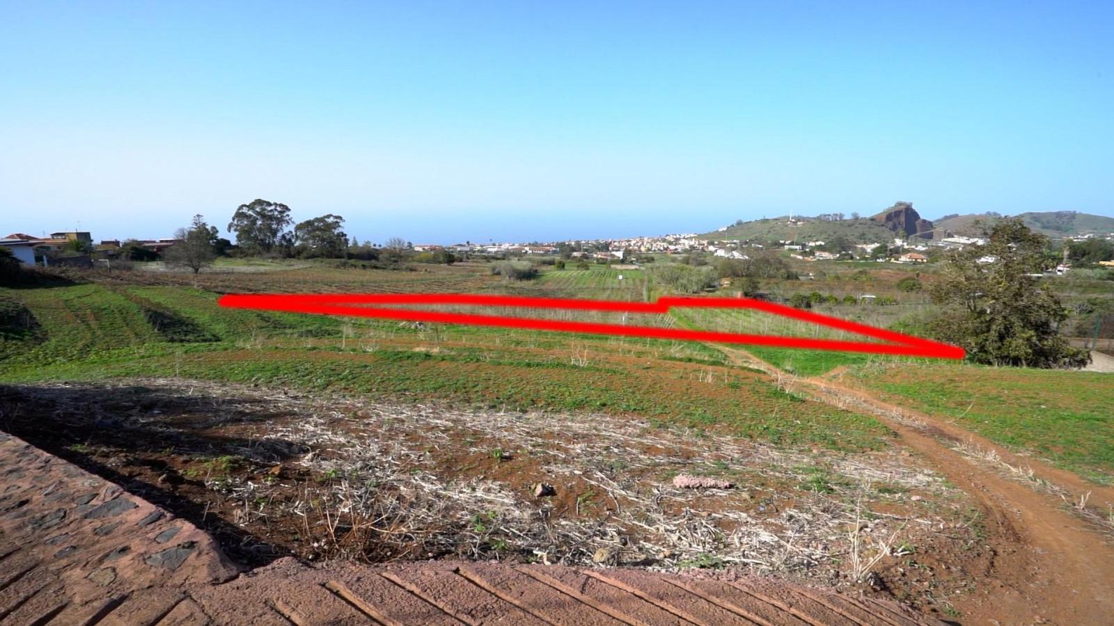 Plot for Sale in Tacoronte
