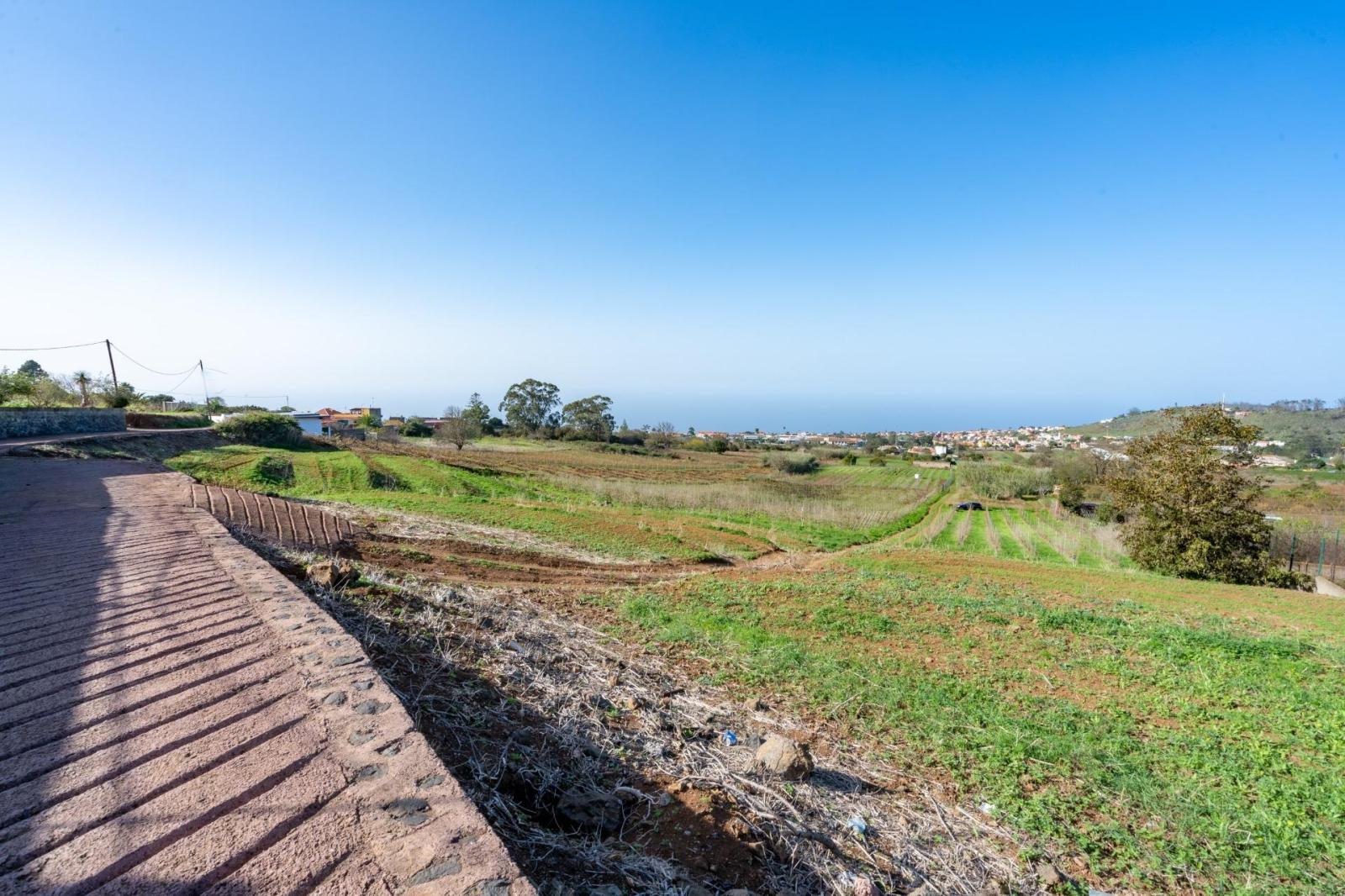 Plot for Sale in Tacoronte