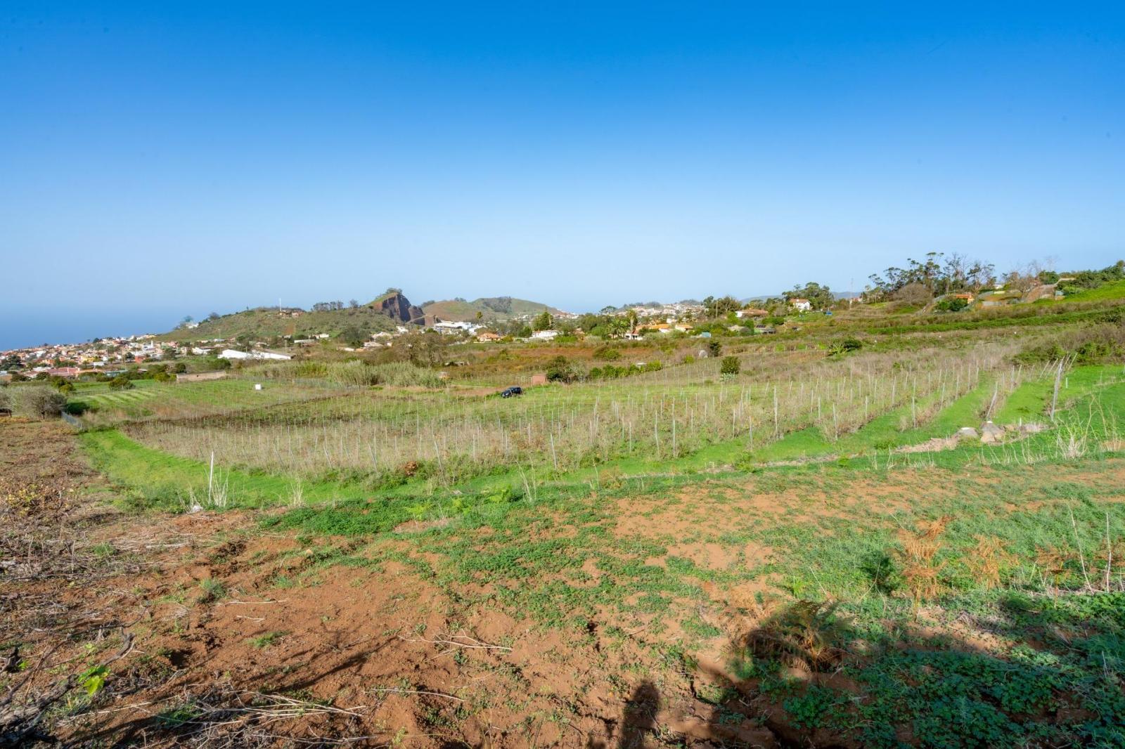 Plot for Sale in Tacoronte