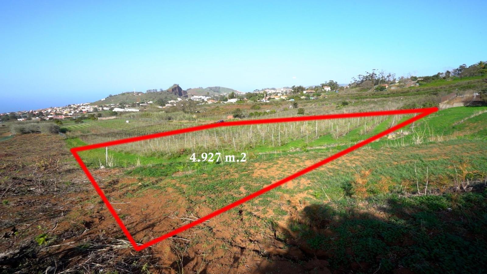 Plot for Sale in Tacoronte