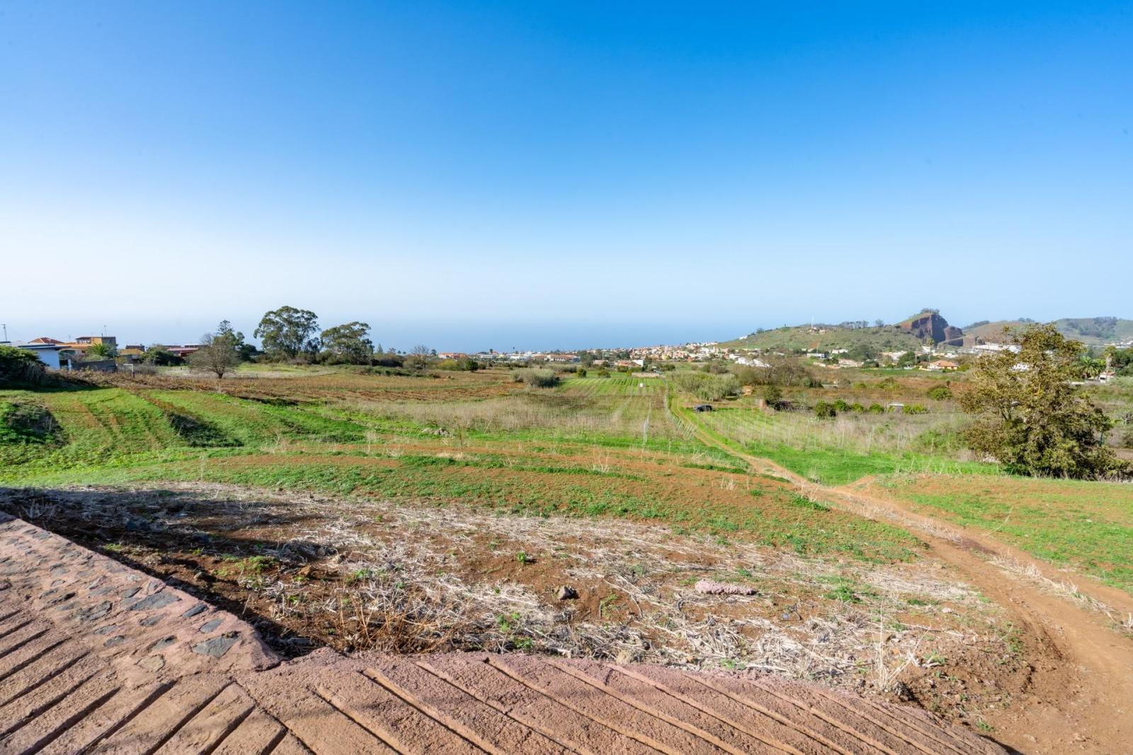 Plot for Sale in Tacoronte