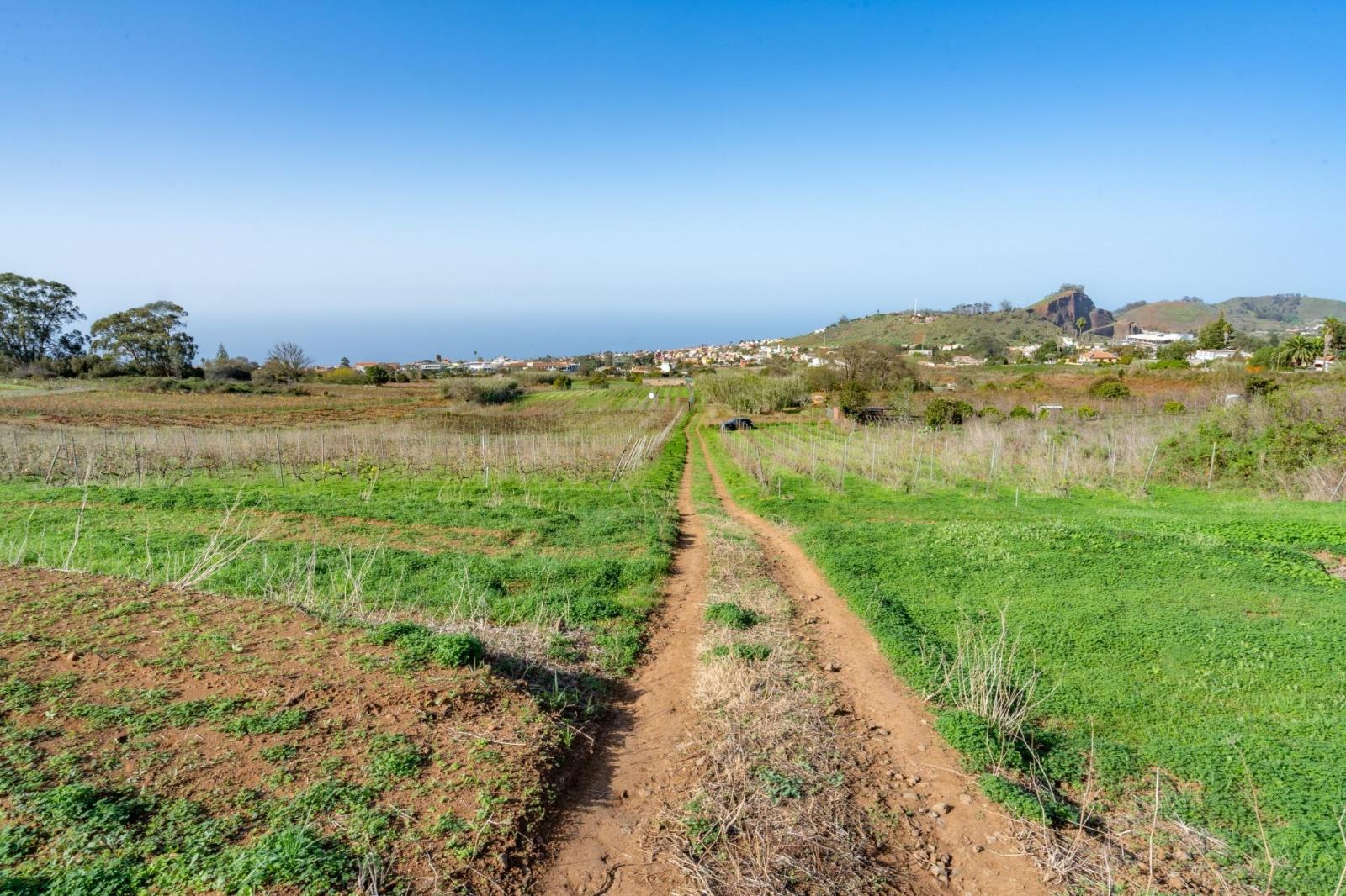 Plot for Sale in Tacoronte