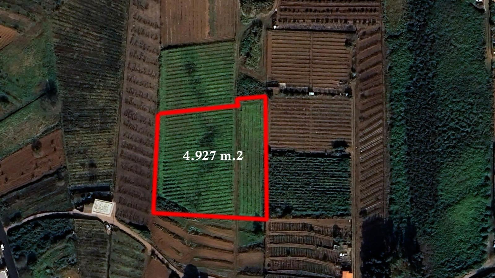 Plot for Sale in Tacoronte