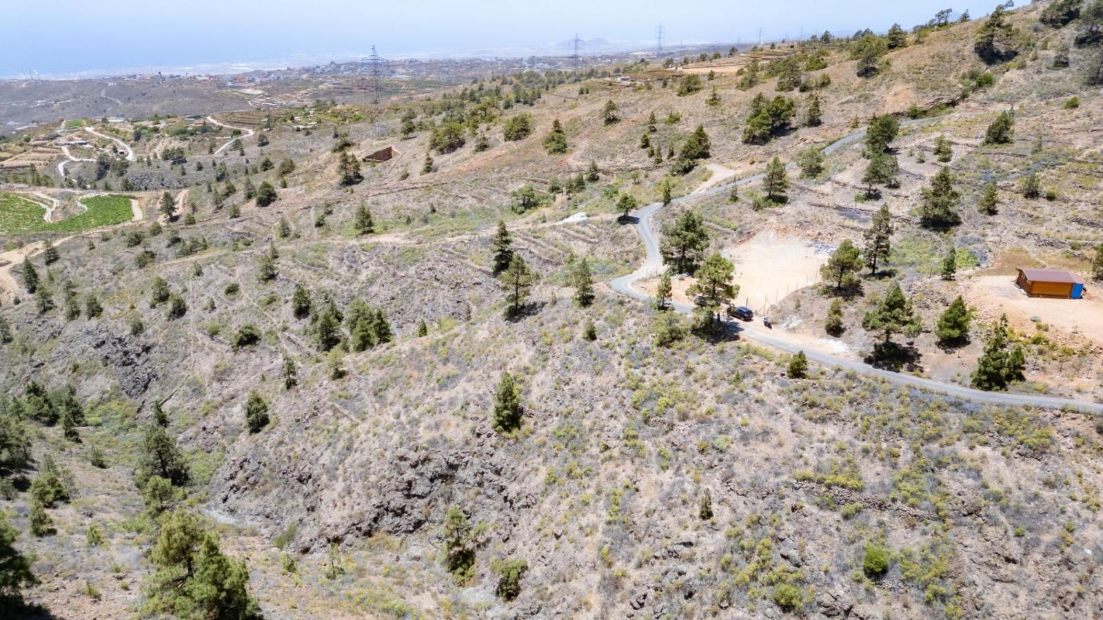Parcela en Venta en Arico