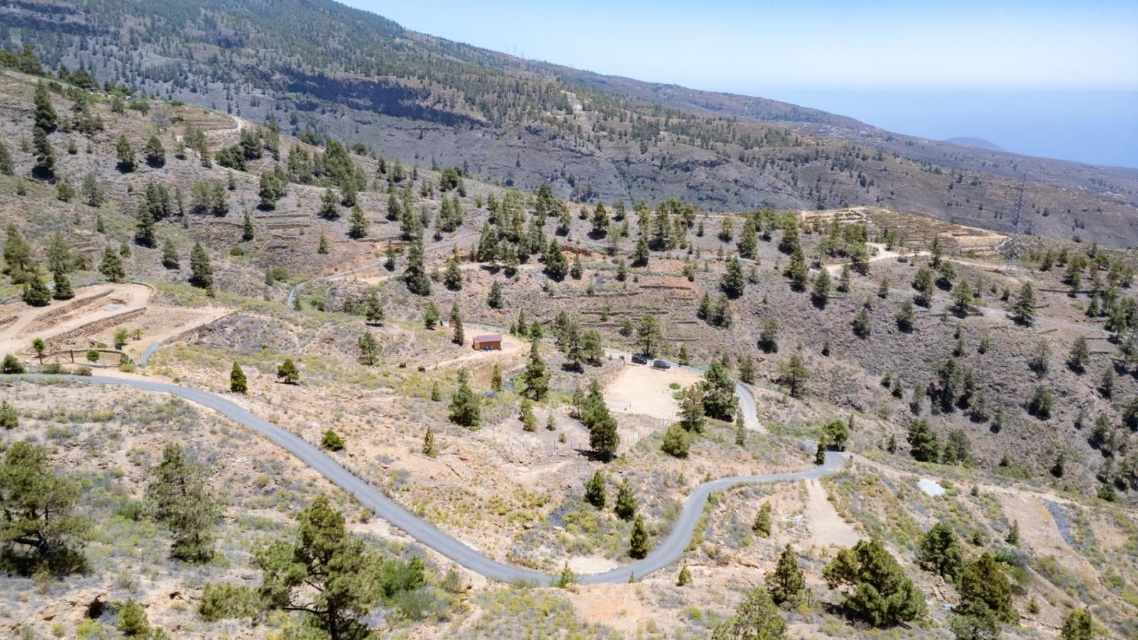 Parcela en Venta en Arico