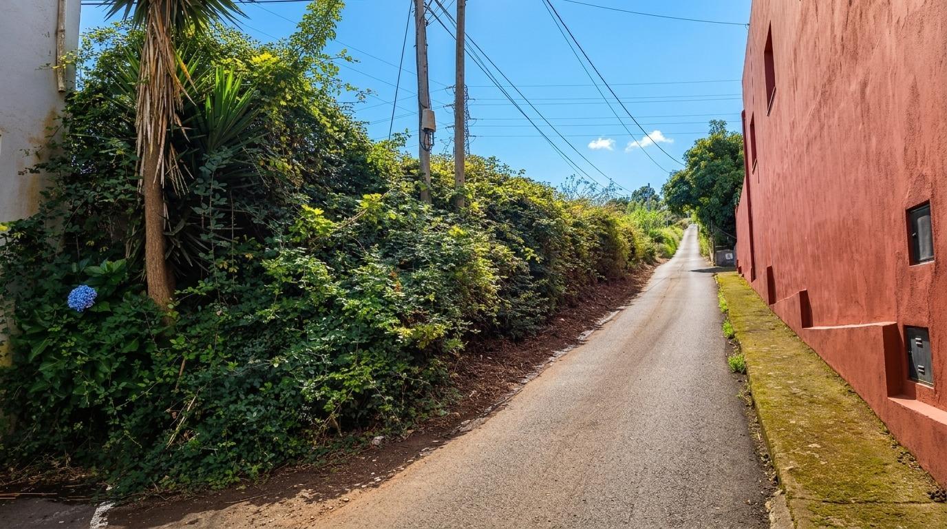 Parcela en Venta en Tacoronte