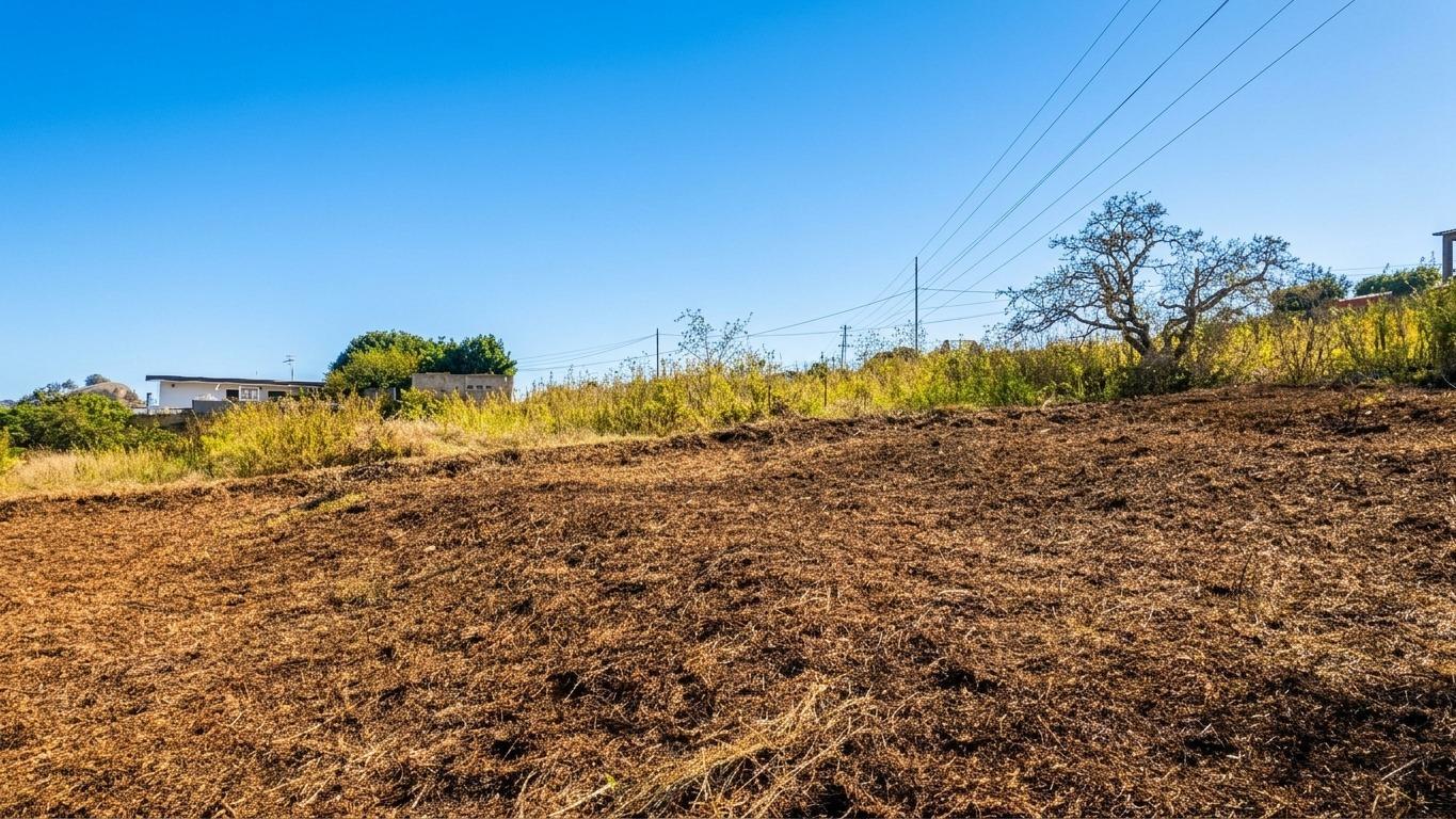 Parcela en Venta en Tacoronte
