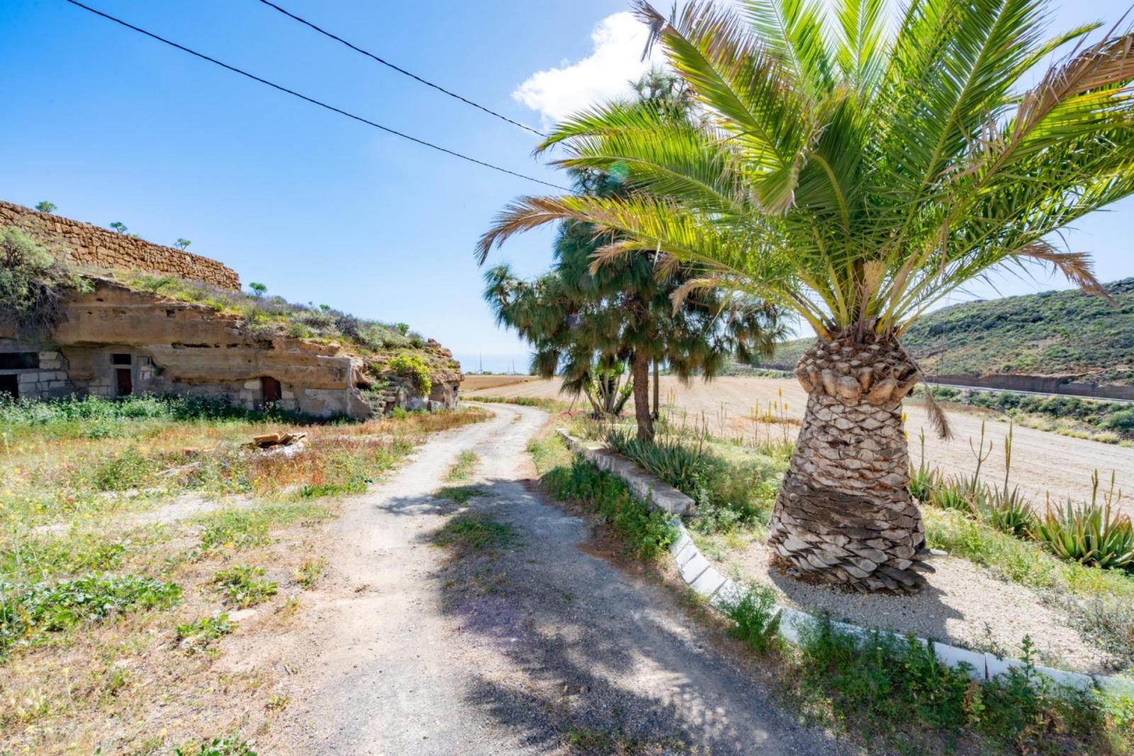 Finca en Venta en Arico