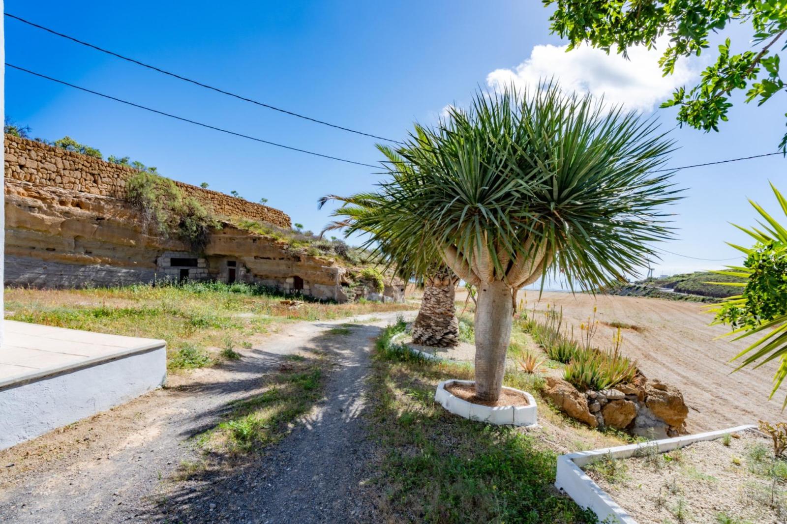 Finca en Venta en Arico