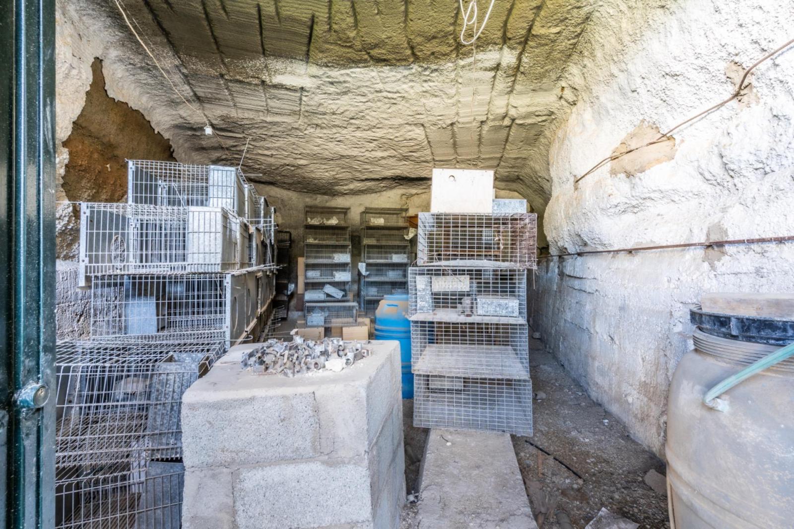 Finca en Venta en Arico