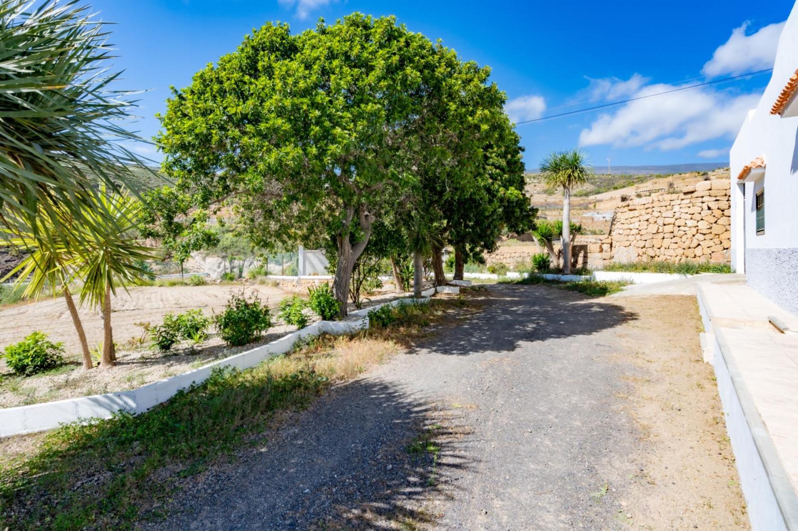Finca en Venta en Arico