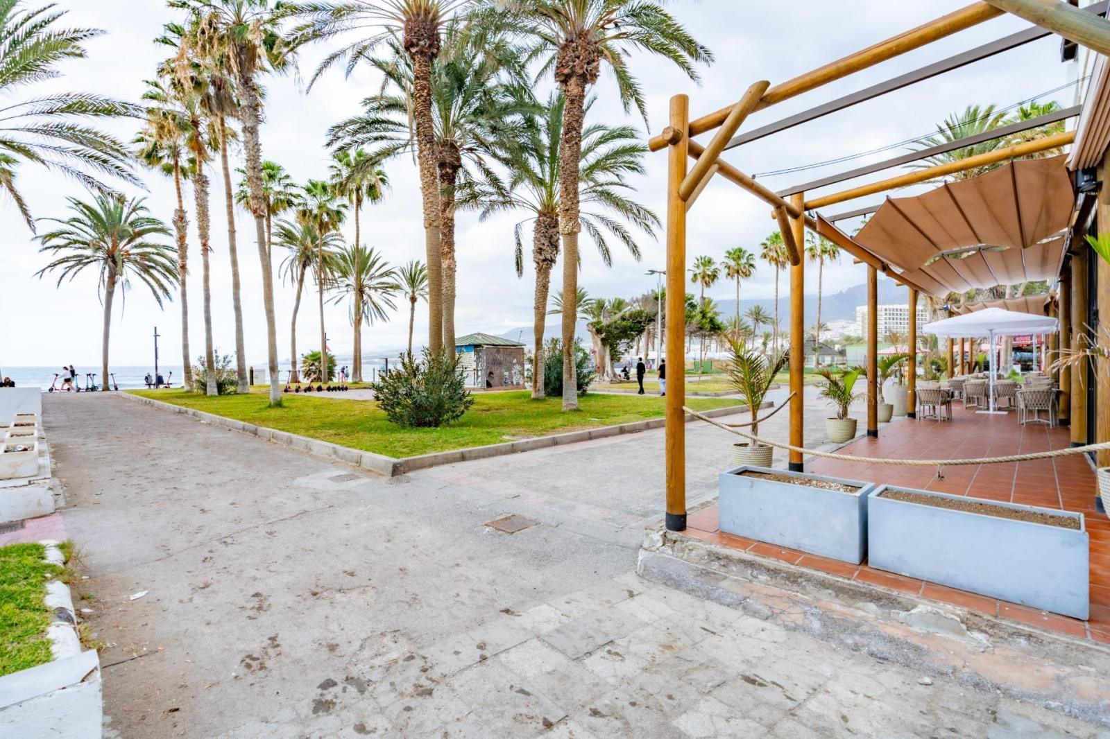 Premise for Rent in Arona