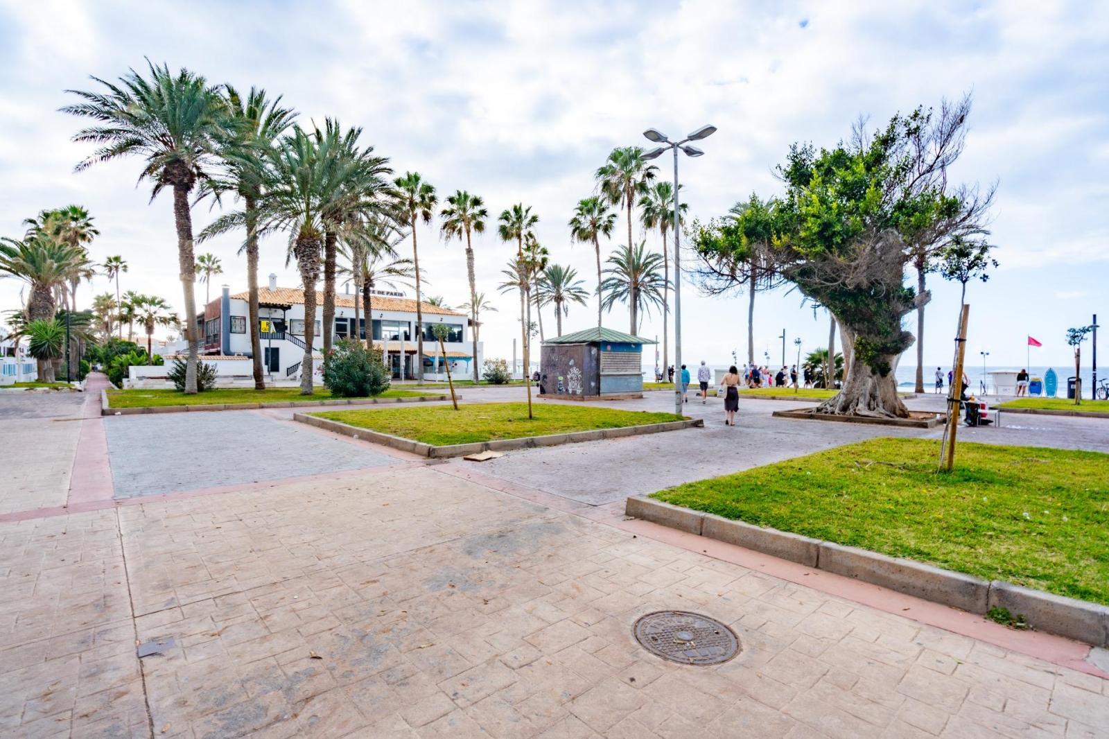 Premise for Rent in Arona