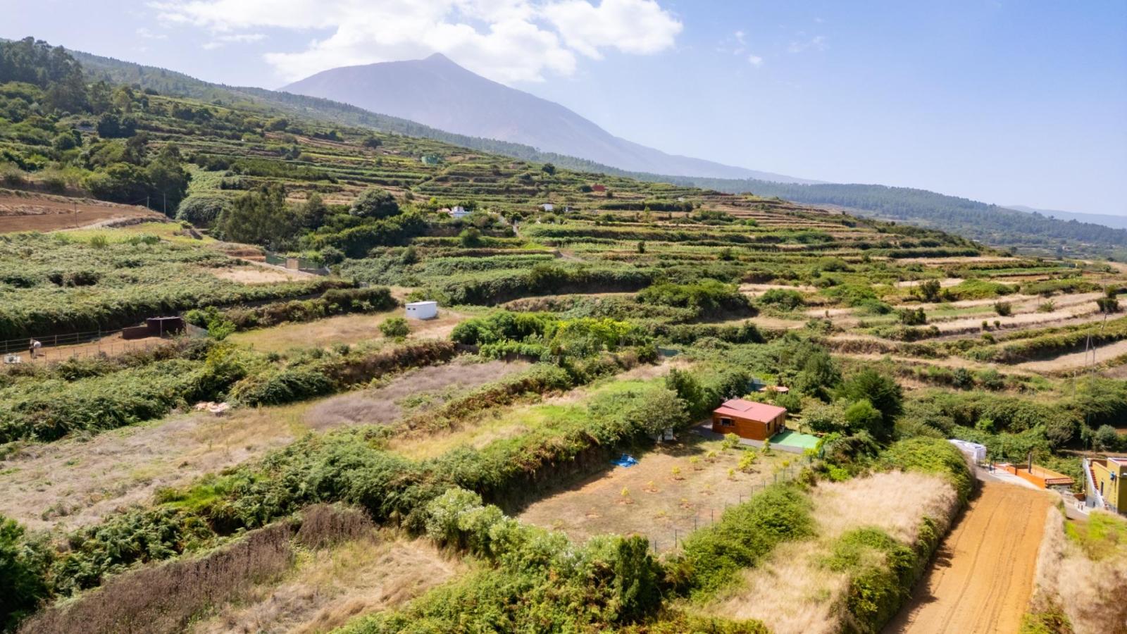 Finca en Venta en Los Realejos