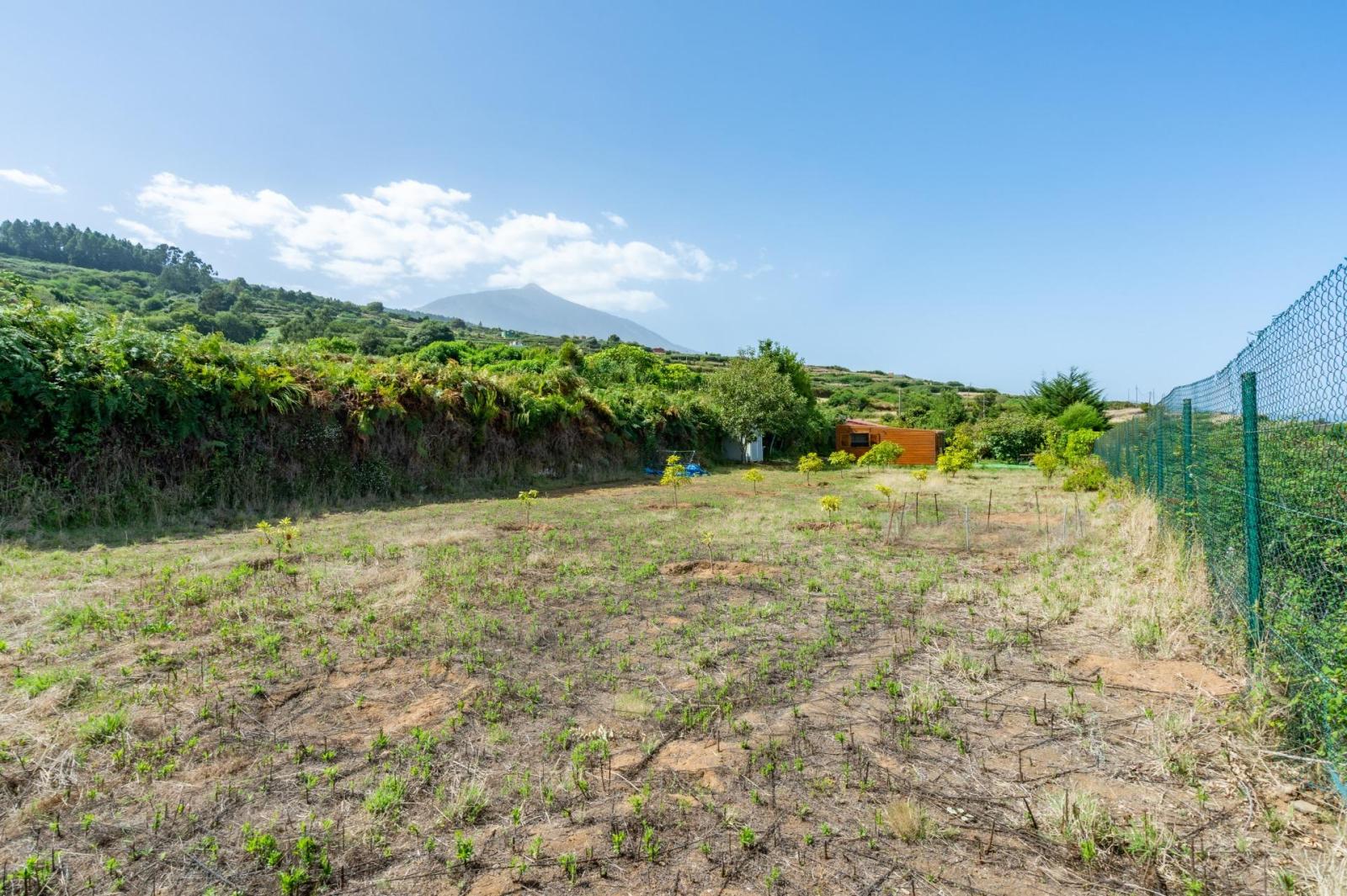 Finca en Venta en Los Realejos