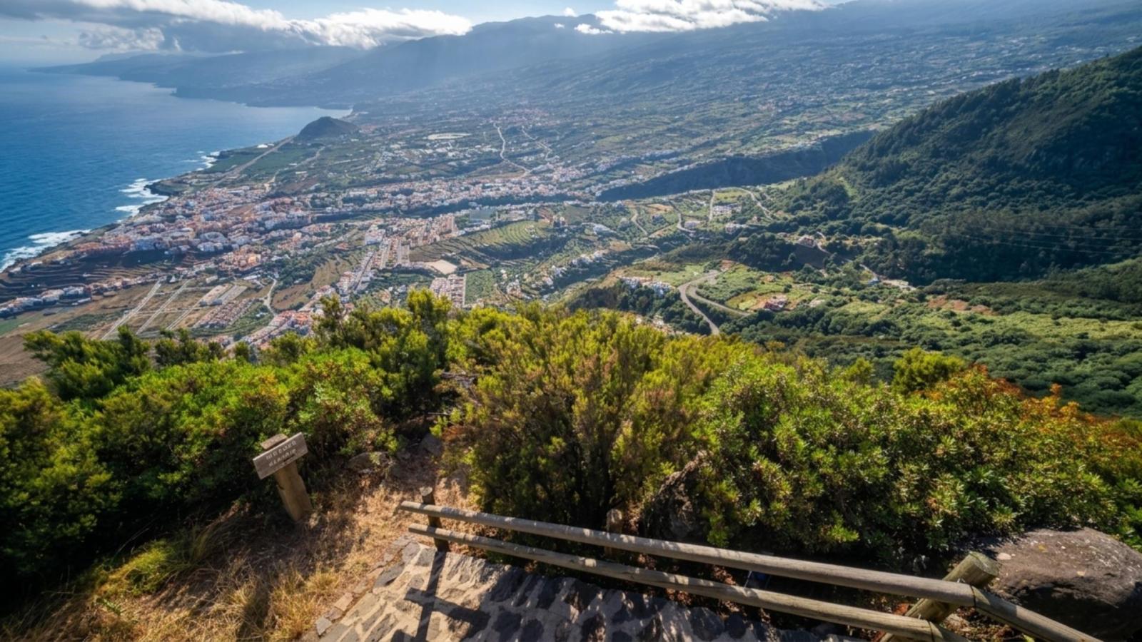 Finca en Venta en Los Realejos