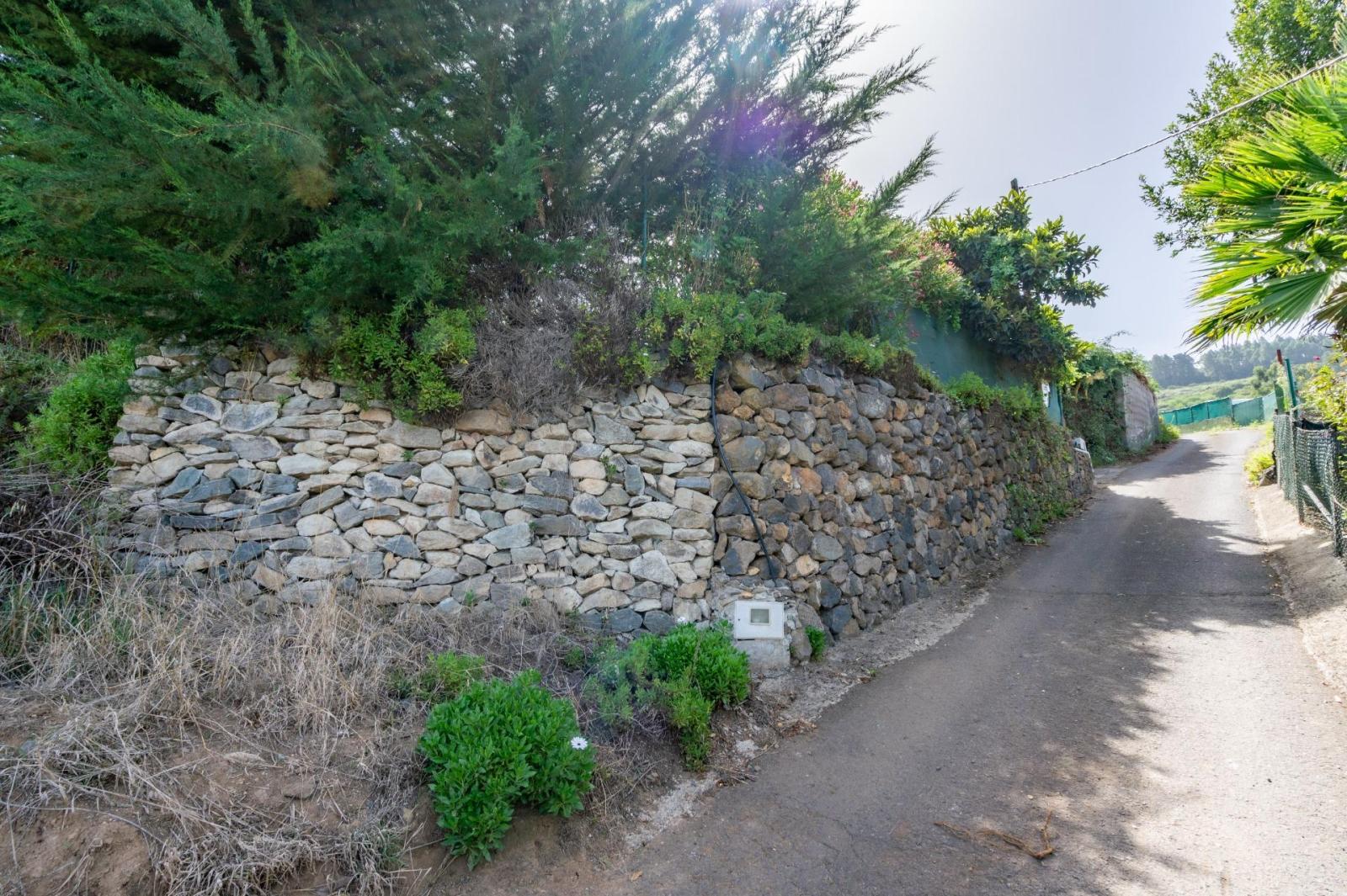Finca en Venta en Los Realejos