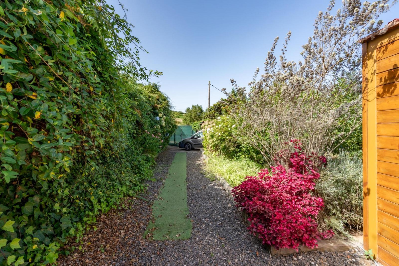 Finca en Venta en Los Realejos