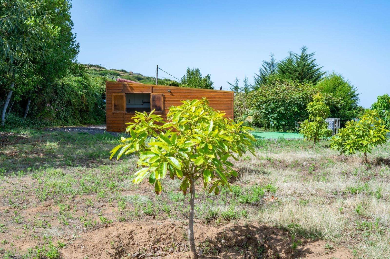 Finca en Venta en Los Realejos