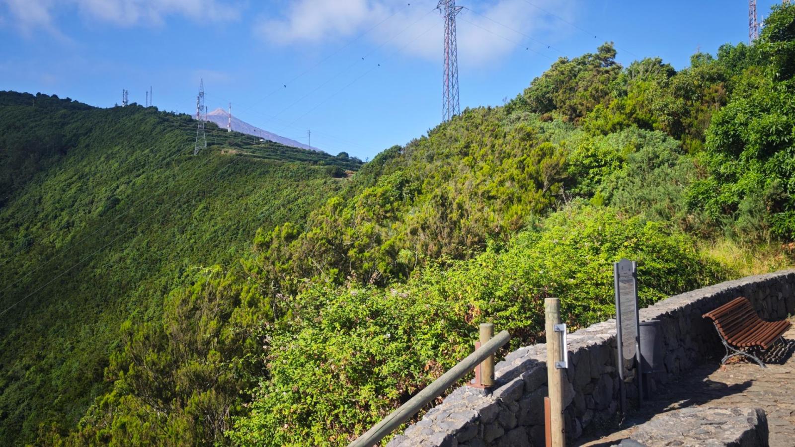 Finca en Venta en Los Realejos