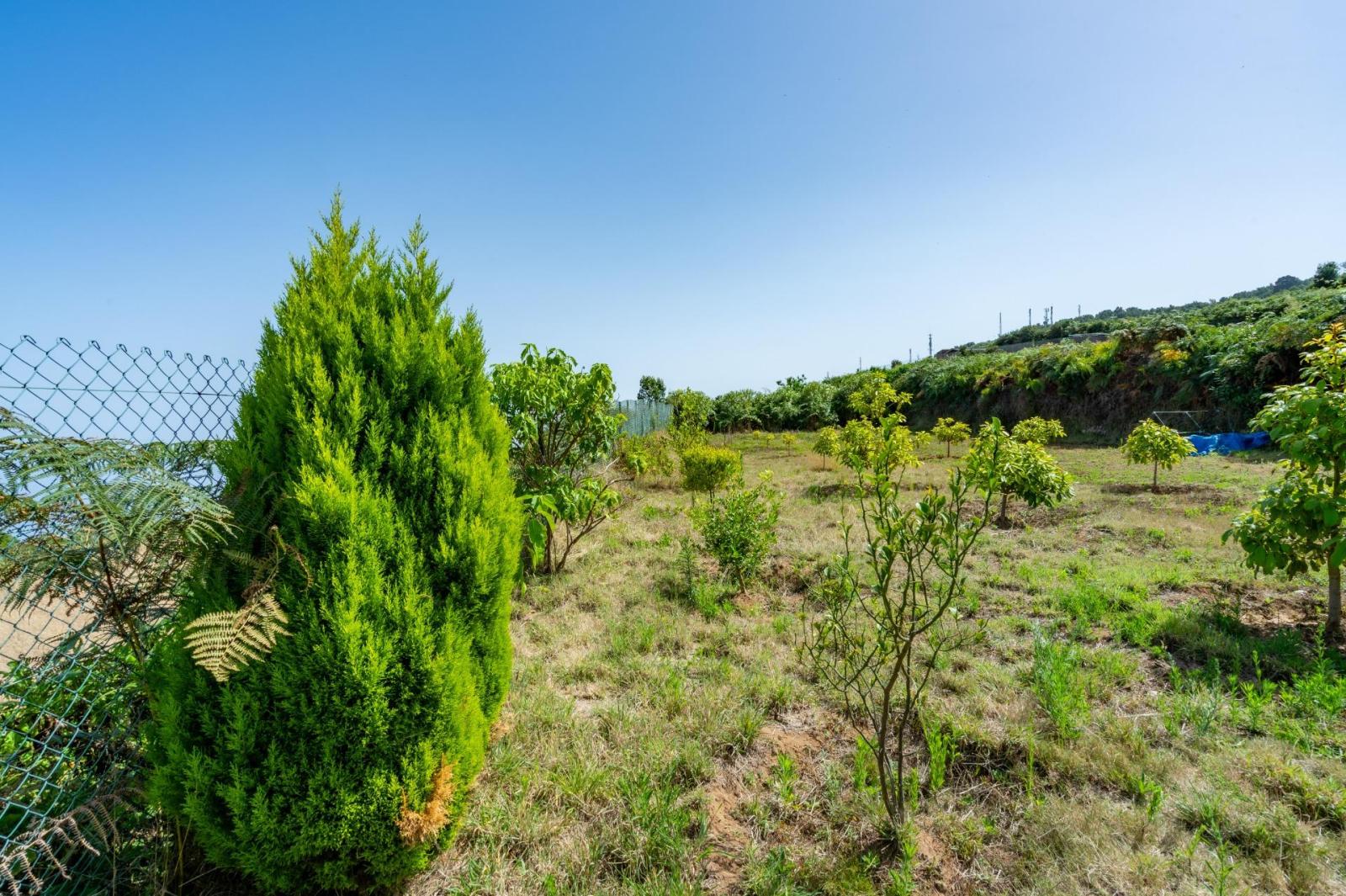 Finca en Venta en Los Realejos