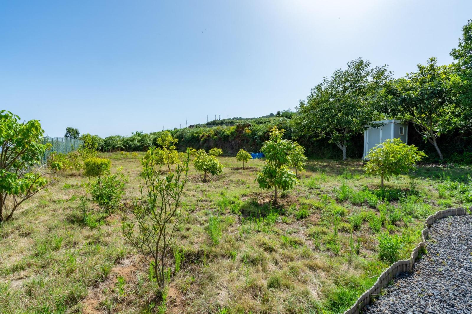 Finca en Venta en Los Realejos
